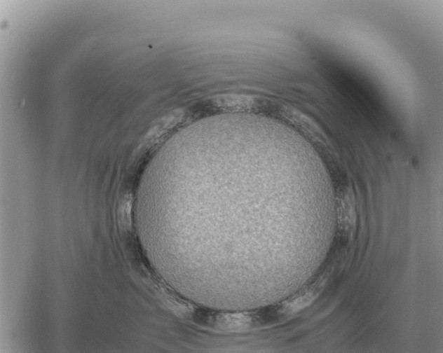 X0000061110717200512091817