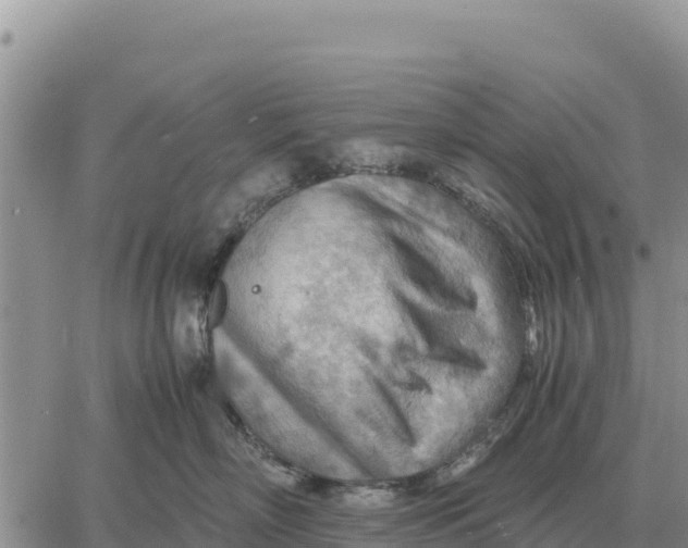 X0000061110718200512091817