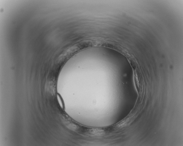 X0000061110719200512091817