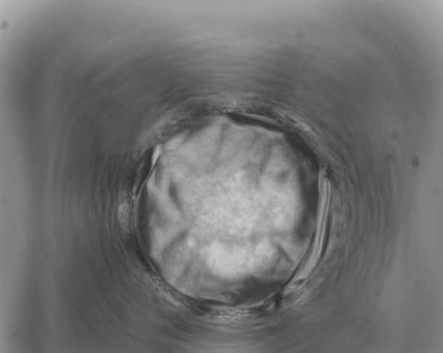 X0000061110720200512091817