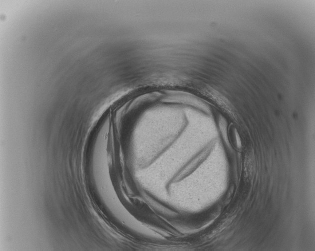 X0000061110722200512091816