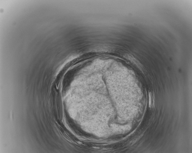 X0000061110723200512091816