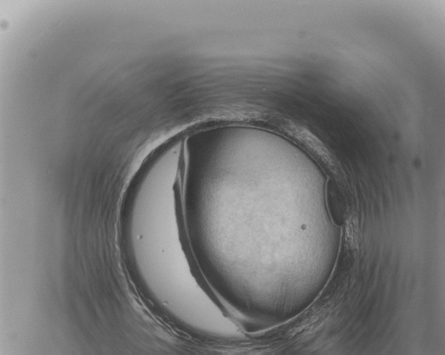 X0000061110724200512091816