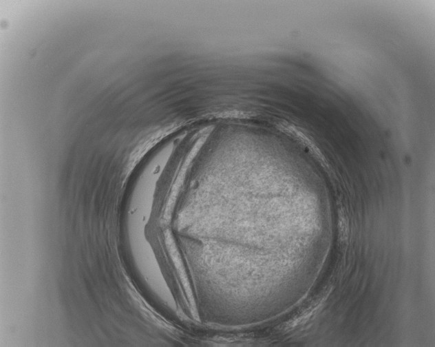 X0000061110725200512091816