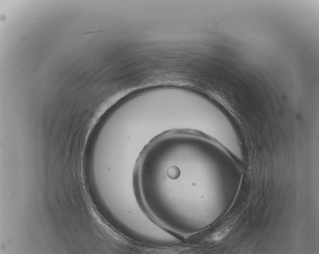 X0000061110726200512091816