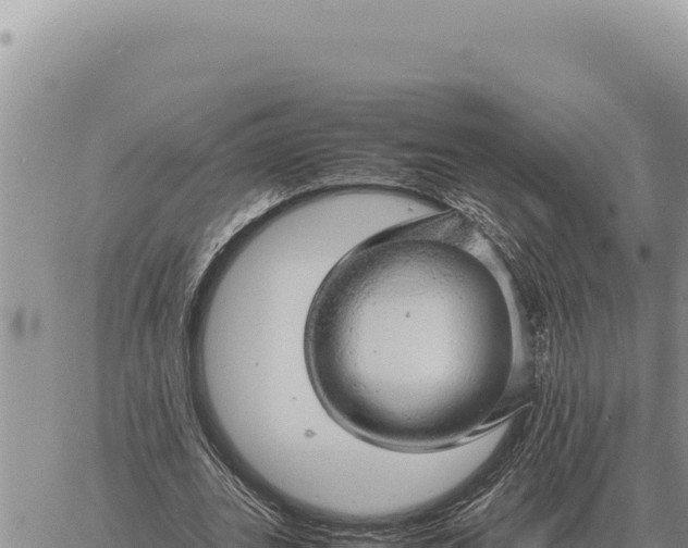 X0000061110727200512091816