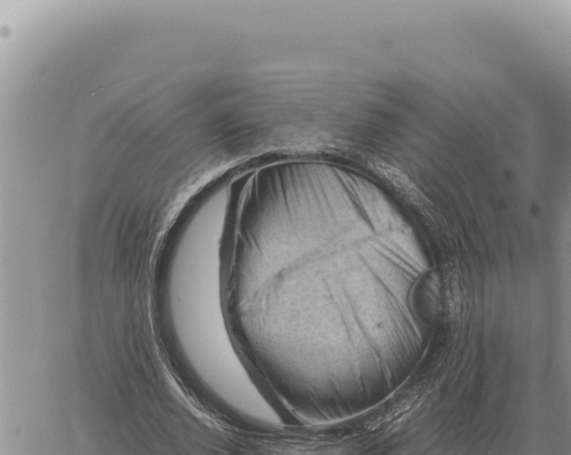 X0000061110728200512091816