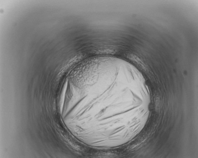 X0000061110729200512091816