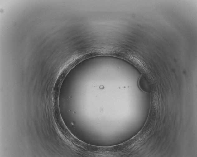 X0000061110730200512091816