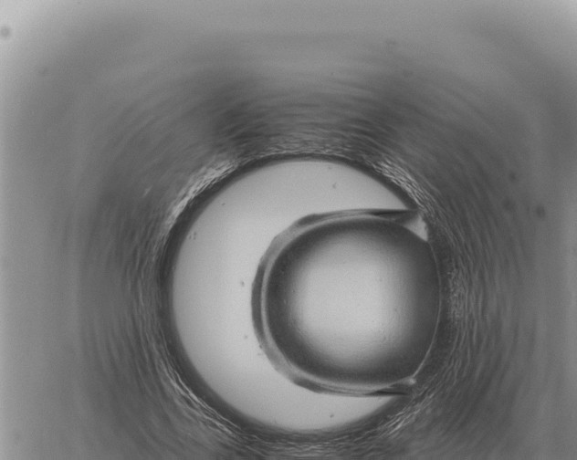 X0000061110731200512091816