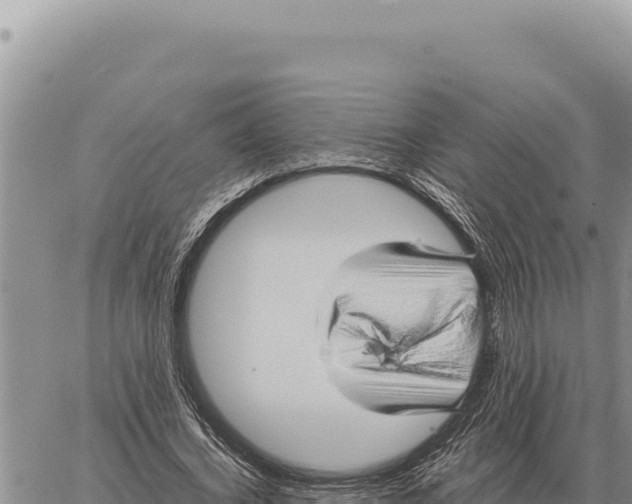 X0000061110732200512091816