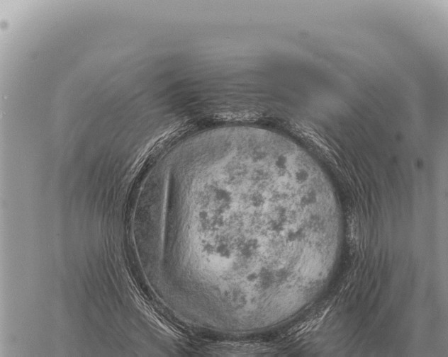 X0000061110733200512091816