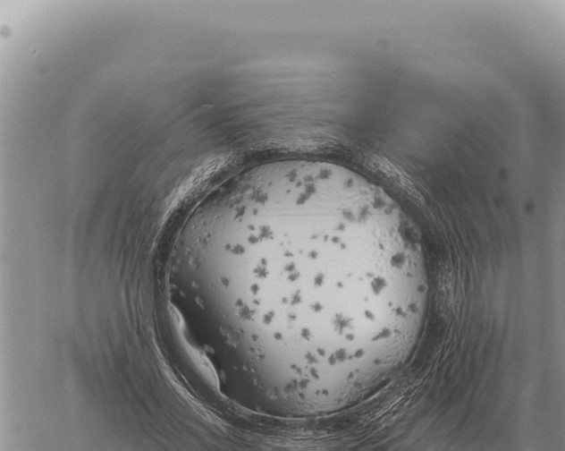 X0000061110734200512091816