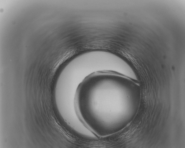 X0000061110735200512091816