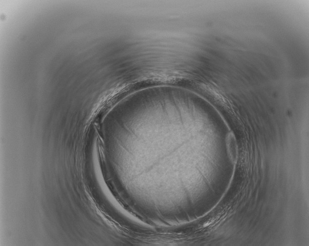 X0000061110736200512091816