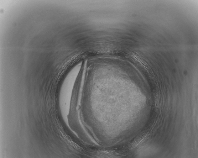 X0000061110737200512091816