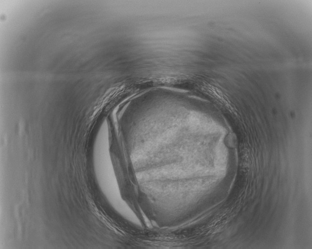 X0000061110738200512091816