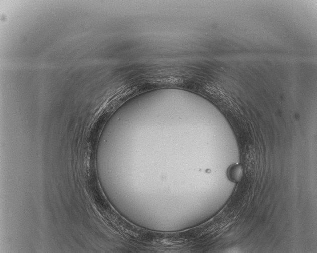 X0000061110739200512091816