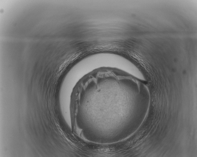 X0000061110740200512091816