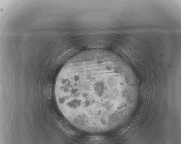 X0000061110741200512091816