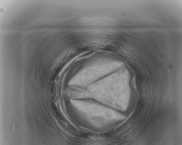 X0000061110742200512091816