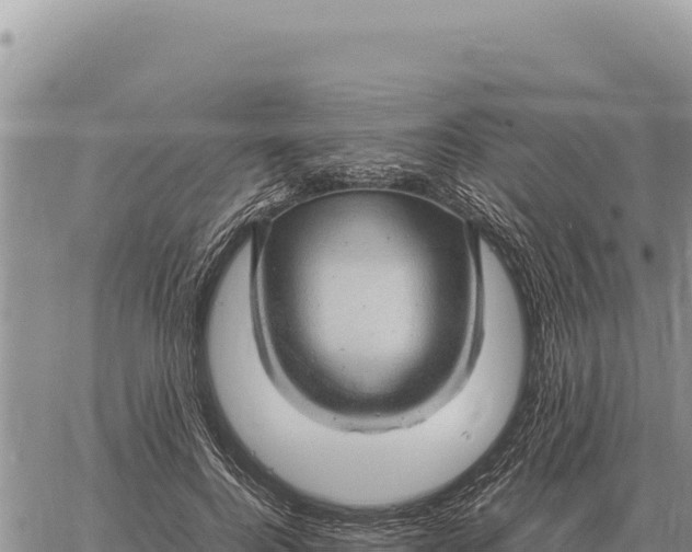 X0000061110744200512091817