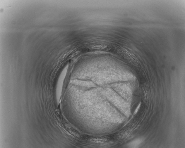 X0000061110745200512091817