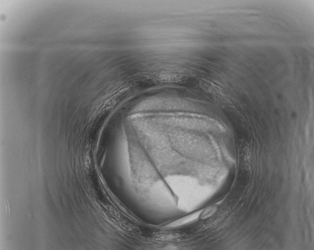 X0000061110746200512091817