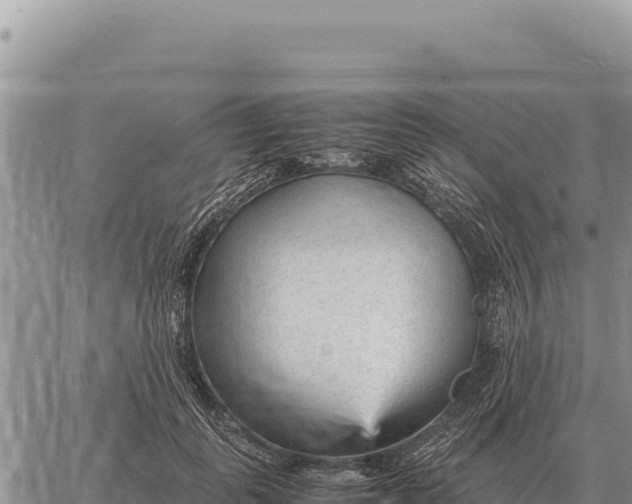 X0000061110747200512091817