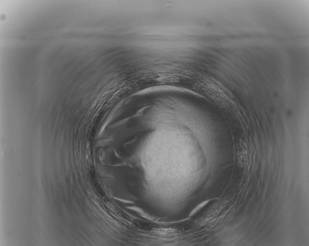 X0000061110748200512091817