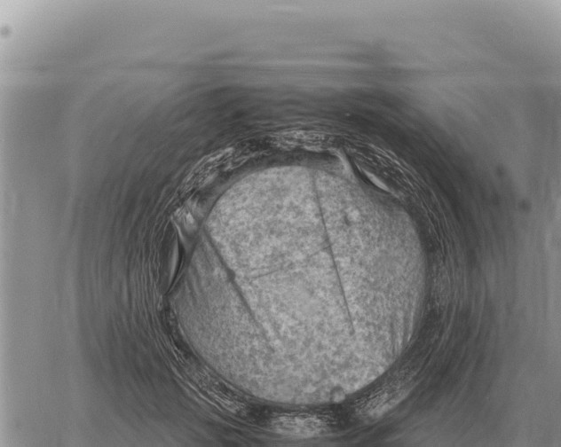 X0000061110749200512091817