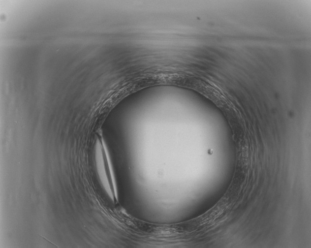 X0000061110750200512091817