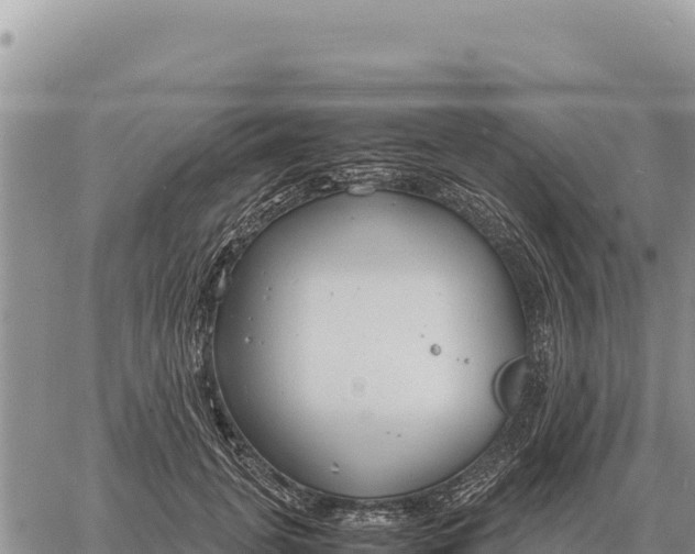 X0000061110751200512091817