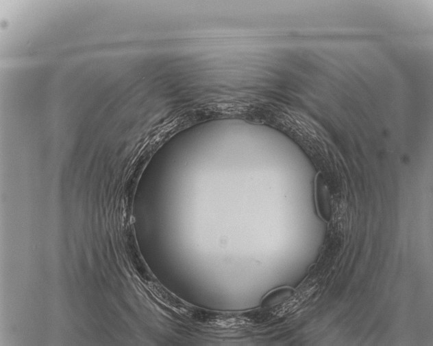 X0000061110752200512091817