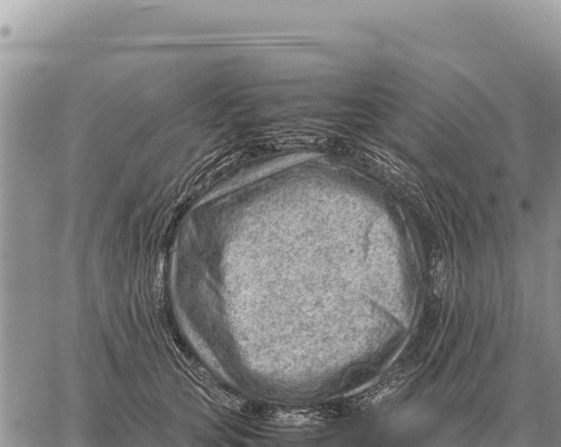 X0000061110753200512091817