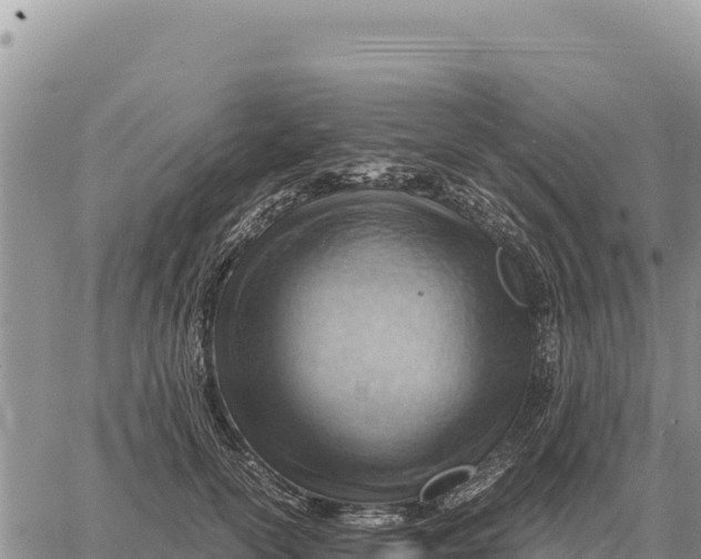 X0000061110754200512091817