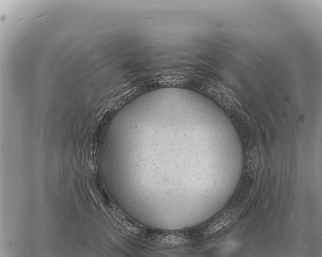 X0000061110755200512091817