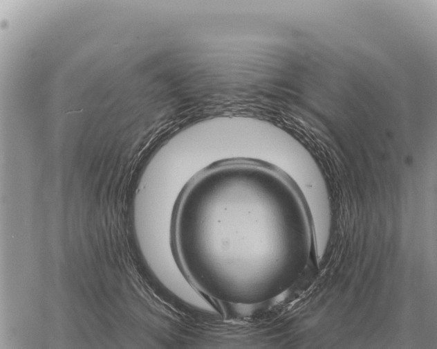 X0000061110756200512091817