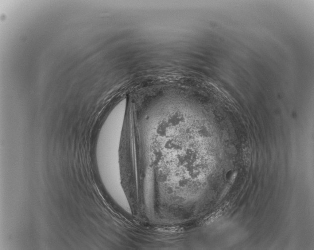 X0000061110757200512091817