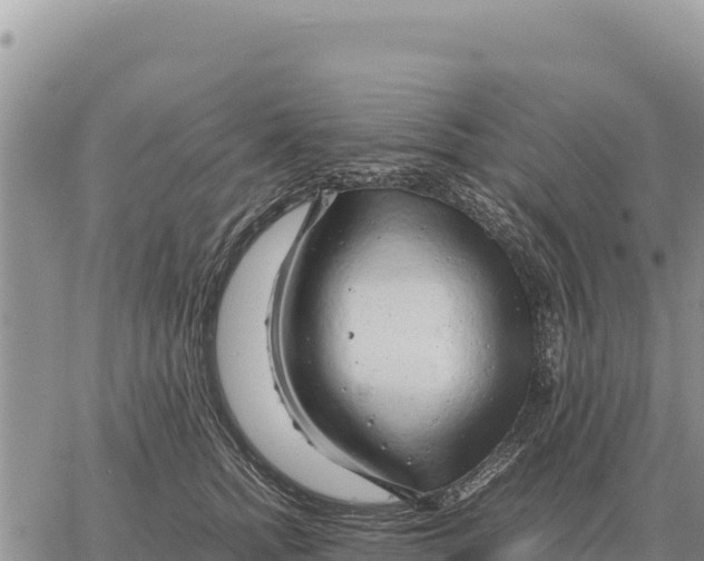 X0000061110758200512091817