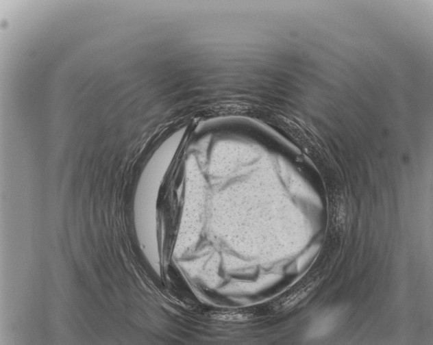 X0000061110759200512091817