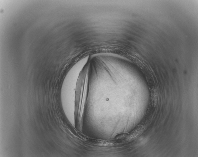 X0000061110760200512091817