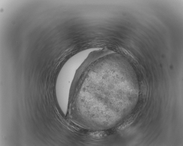 X0000061110761200512091817