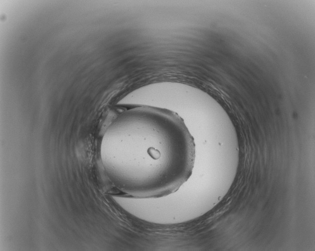 X0000061110762200512091817