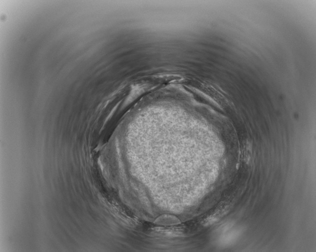 X0000061110763200512091817