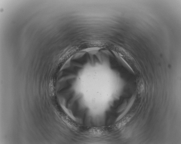 X0000061110764200512091817