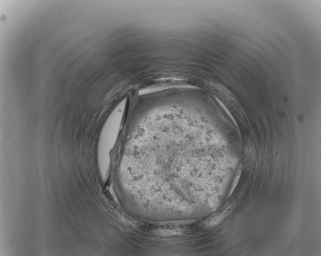 X0000061110765200512091817