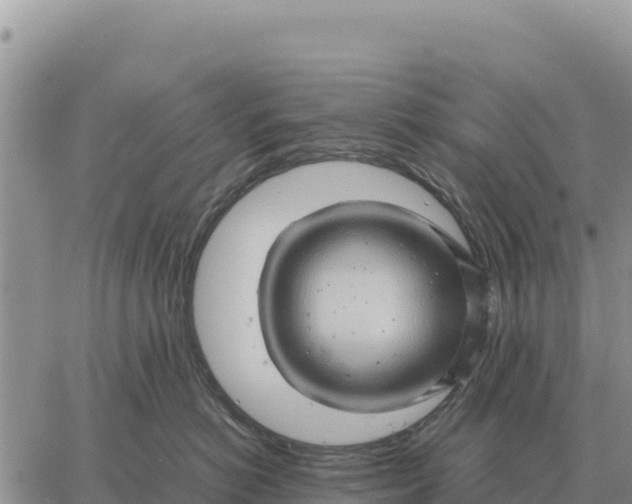 X0000061110766200512091817