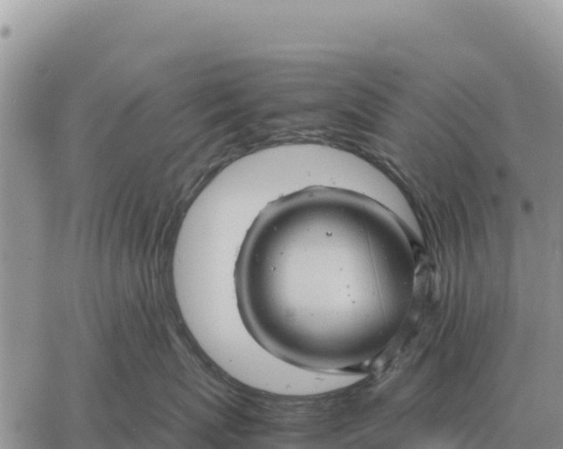 X0000061110767200512091817