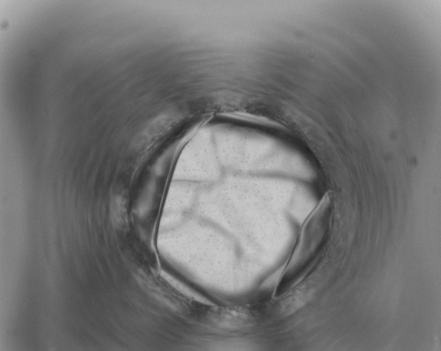 X0000061110768200512091817